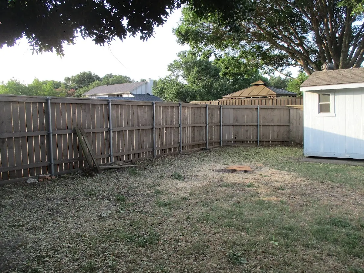 Cleared yard after professional tree removal in Navajo Dam